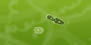 Hra - Microbe Kombat