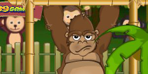 Hra - World Strongest Monkey