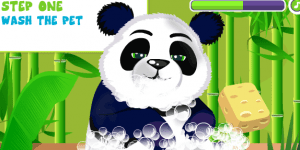 Hra - Panda Care