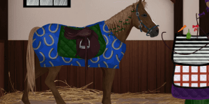Hra - Vysněný kůň