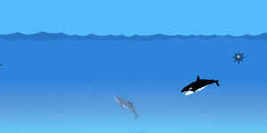 Hra - Dolphin Hunt