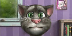 Hra - Talking Tom Cat 2