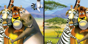 Hra - Madagascar Differences