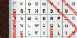 Hra - Word Search